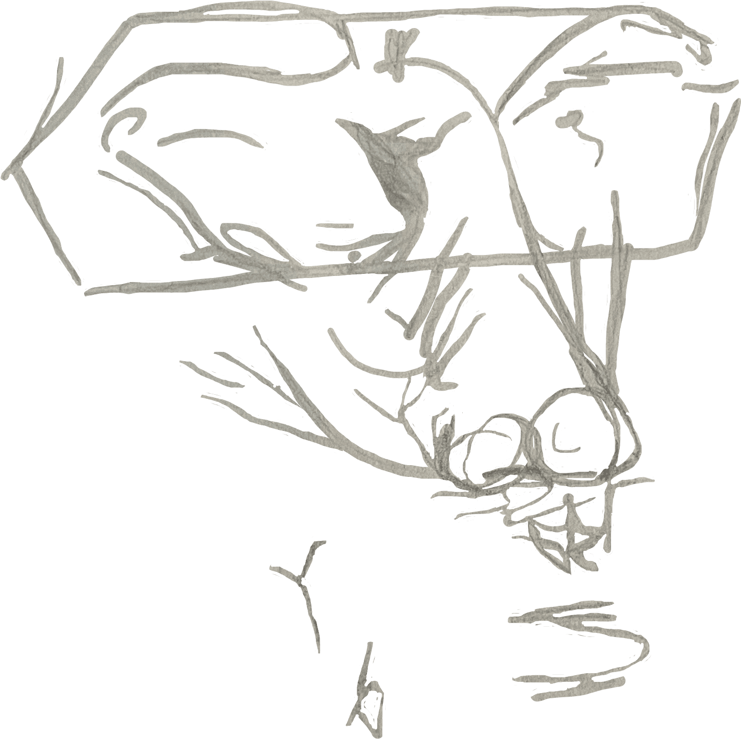 Occulta Facies logo